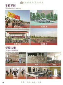 长沙湘江科技欢迎你 科技与创新的交汇之地